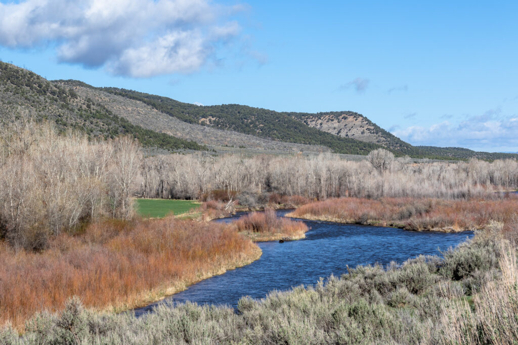 White River photo