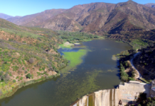 Matilija Reservoir has filled with sediment, allowing grasses to grow on its surface. | Photo: Paul Jenkin (August 2019)