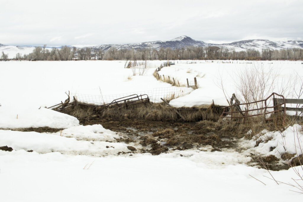 A bill recently passed the Colorado legislature that will protect ranchers’ historical uses without requiring them to go to water court. 