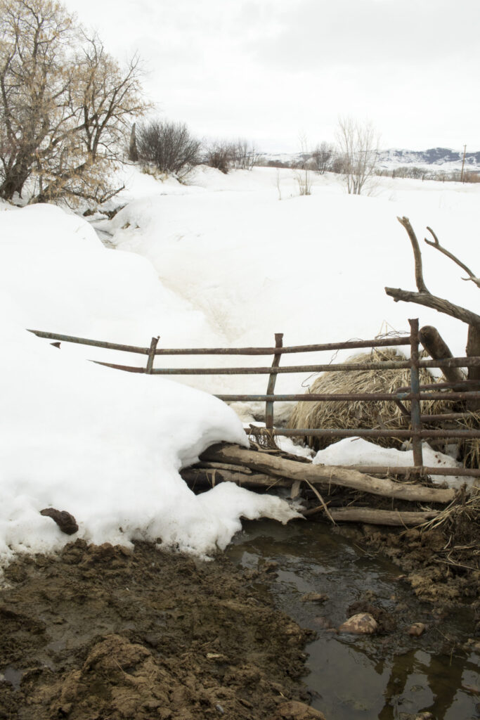 New legislation prevents ranchers’ water for stock from being shut off by an instream flow right for the environment.