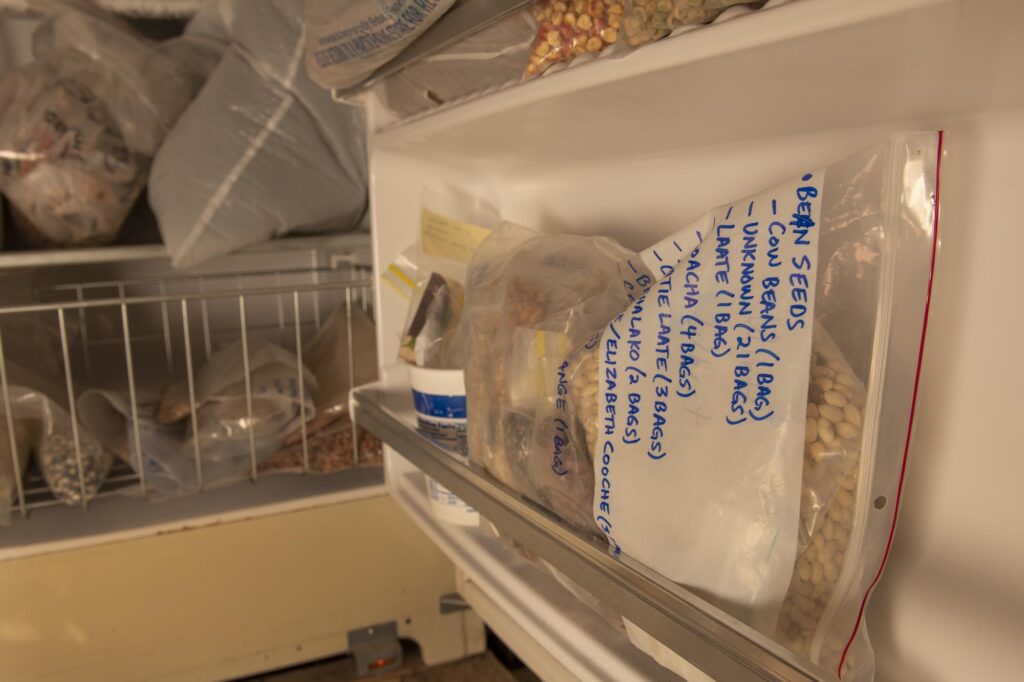 The Zuni Seed Bank freezer holds Zuni yellow beans, blue and red Hopi corn, melon and Zuni sweet corn seeds.