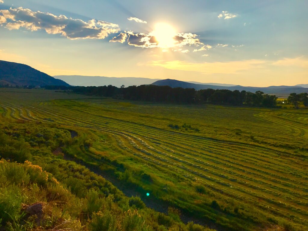 Little data exists on the impacts of reducing irrigation water on higher elevation pastures like this one.