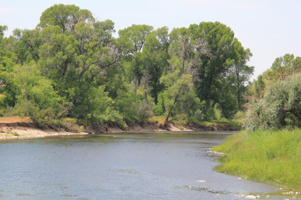 Yampa River near Hayden Generating Station