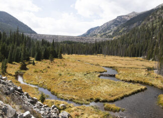 Homestake Creek flows from Homestake Reservoir near Red Cliff.