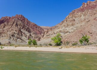 Big beaches are growing, and stabilizing, along the Colorado River in Cataract Canyon just above Lake Powell, like this one captured in early October. A recent study on the secondary economic impacts of a water-use-reduction program intended to deliver more water to Lake Powell found some jobs could be lost across western Colorado.