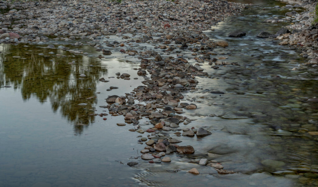 The Crystal River showing a fraction of its normal summer volume in September.