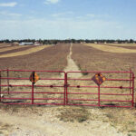 Dry agriculture photo