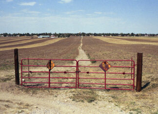 Dry agriculture photo