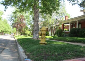 Hydrant photo