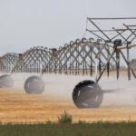 Center pivot irrigation photo