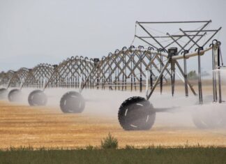 Center pivot irrigation photo