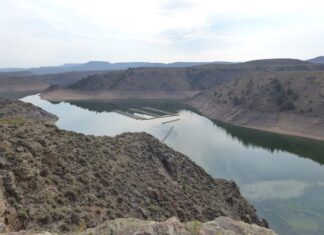 Elk Creek Marina photo