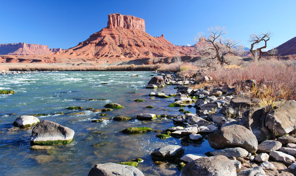 16+ Colorado Urology Boulder