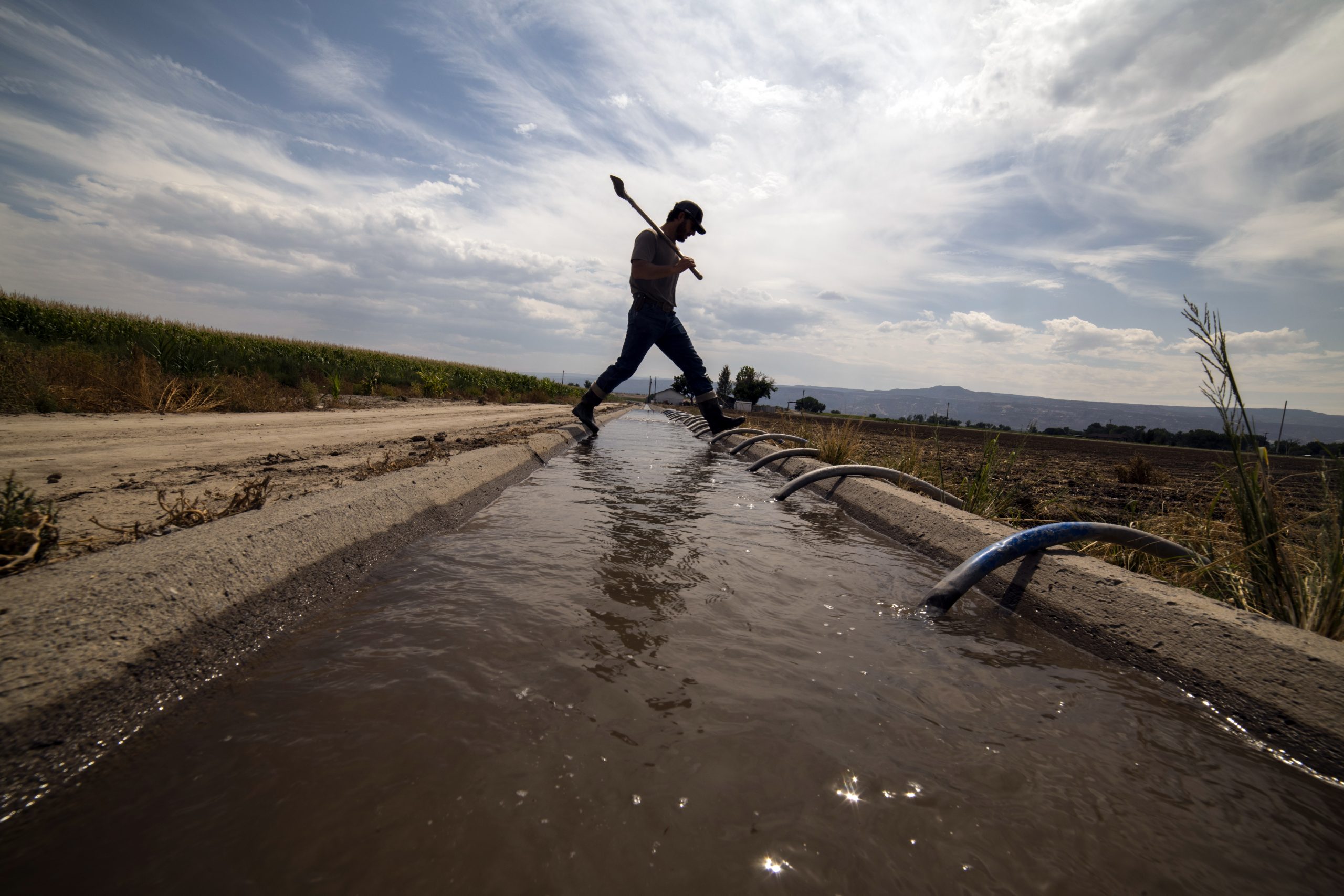 Rancher Bryan Bernal irrigates a field that depends on Colorado River water near Loma, Colo. Credit: William Woody