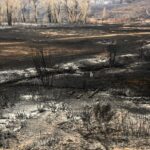 Burnt Northern Water land photo