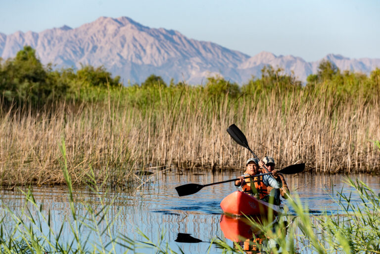 Photos: Laguna Grande Restoration Area, Mexico