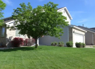 A lush lawn outside a home in a Thornton, Colo. subdivision photo