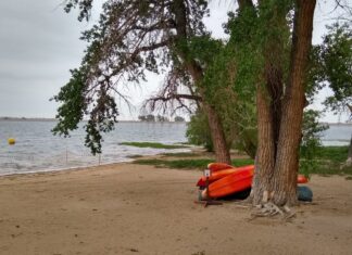 Beach at Barr Lake, where agencies are working to remove toxic algae. May 31, 2022. Credit: Jerd Smith, Fresh Water News