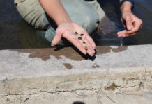 Zebra mussels threaten infrastructure and native ecosystems. Colorado is ramping up efforts to detect and contain them.