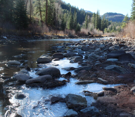 Trees keep a record of Colorado’s Crystal River. Researchers say that story could help protect the river for future generations