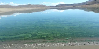 Low reservoir levels main cause of toxic algae in Blue Mesa