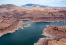 Colorado River experts say some management options don’t go far enough to address scarcity, climate change