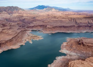 Colorado River experts say some management options don’t go far enough to address scarcity, climate change