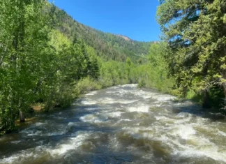 Aspen activist wants ‘rights of nature’ for the Roaring Fork River
