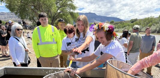 Fish out of water on the Colorado River