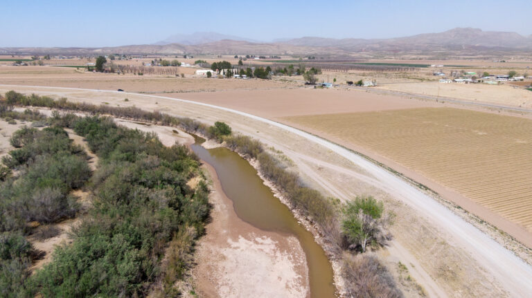 Photos: Rio Grande near Garfield, New Mexico, March 2026