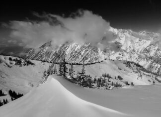 Can AI forecast if snow will be fluffy or dense? Only with help from humans