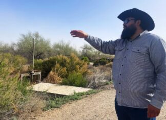 Just add water: West Texas wetlands project brings new life to ancient riverbed