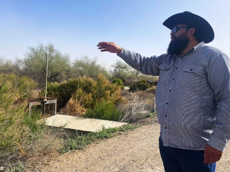 Just add water: West Texas wetlands project brings new life to ancient riverbed