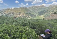 Want to predict wildfires? The key may be underground