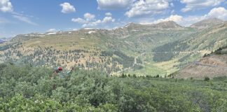 Want to predict wildfires? The key may be underground