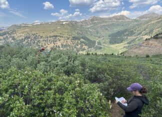 Want to predict wildfires? The key may be underground