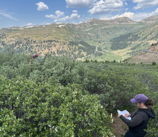 Want to predict wildfires? The key may be underground