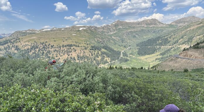 Want to predict wildfires? The key may be underground