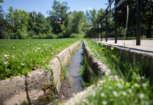 How universities in the West justify staying green during drought