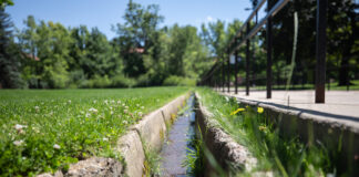 How universities in the West justify staying green during drought
