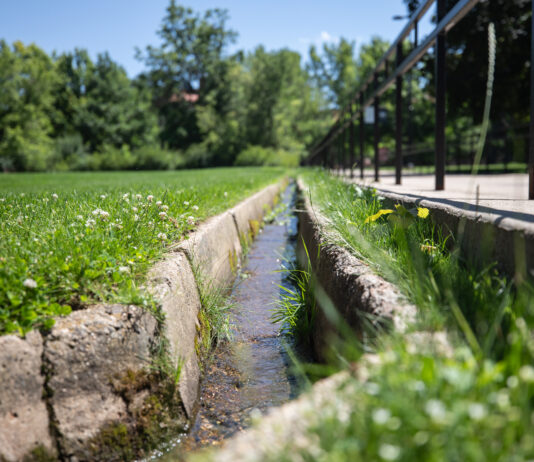 How universities in the West justify staying green during drought