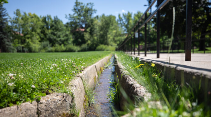 How universities in the West justify staying green during drought
