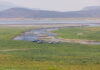 Photos: Blue Mesa Reservoir, July 2026