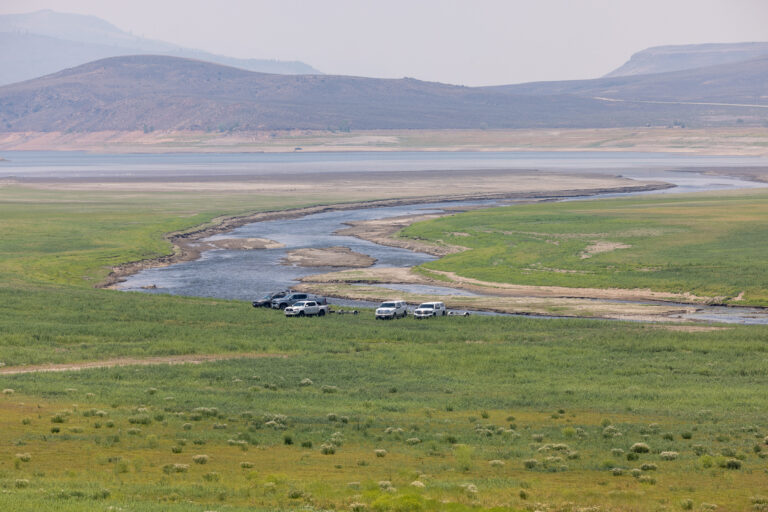 Photos: Blue Mesa Reservoir, July 2026