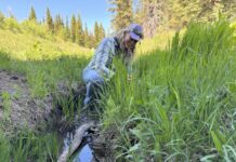 The Supreme Court shrunk clean water protections in the West. Colorado and New Mexico are restoring them