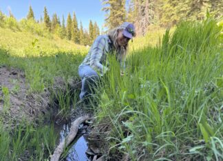 The Supreme Court shrunk clean water protections in the West. Colorado and New Mexico are restoring them