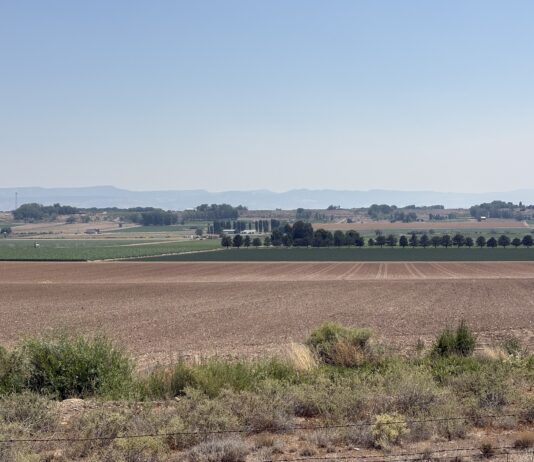 Colorado water officials announce creation of state-run conservation program
