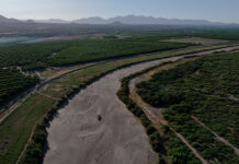 The clock is ticking for New Mexico to cut Rio Grande water use