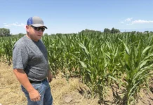 With fields already fallow, Uncompahgre Valley growers adapt to a drier future