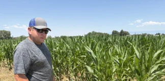 With fields already fallow, Uncompahgre Valley growers adapt to a drier future